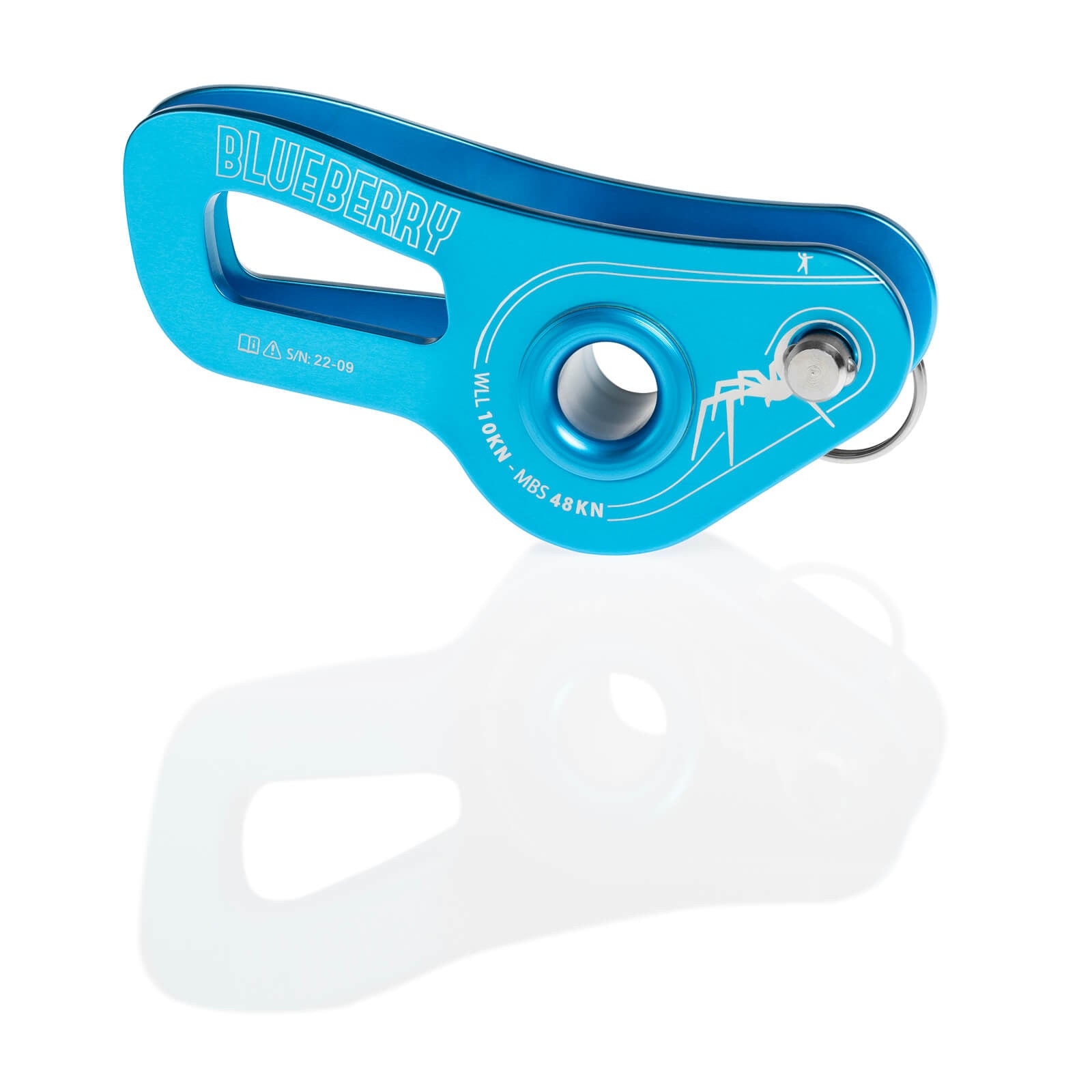BLUEBERRY WEBLOCK