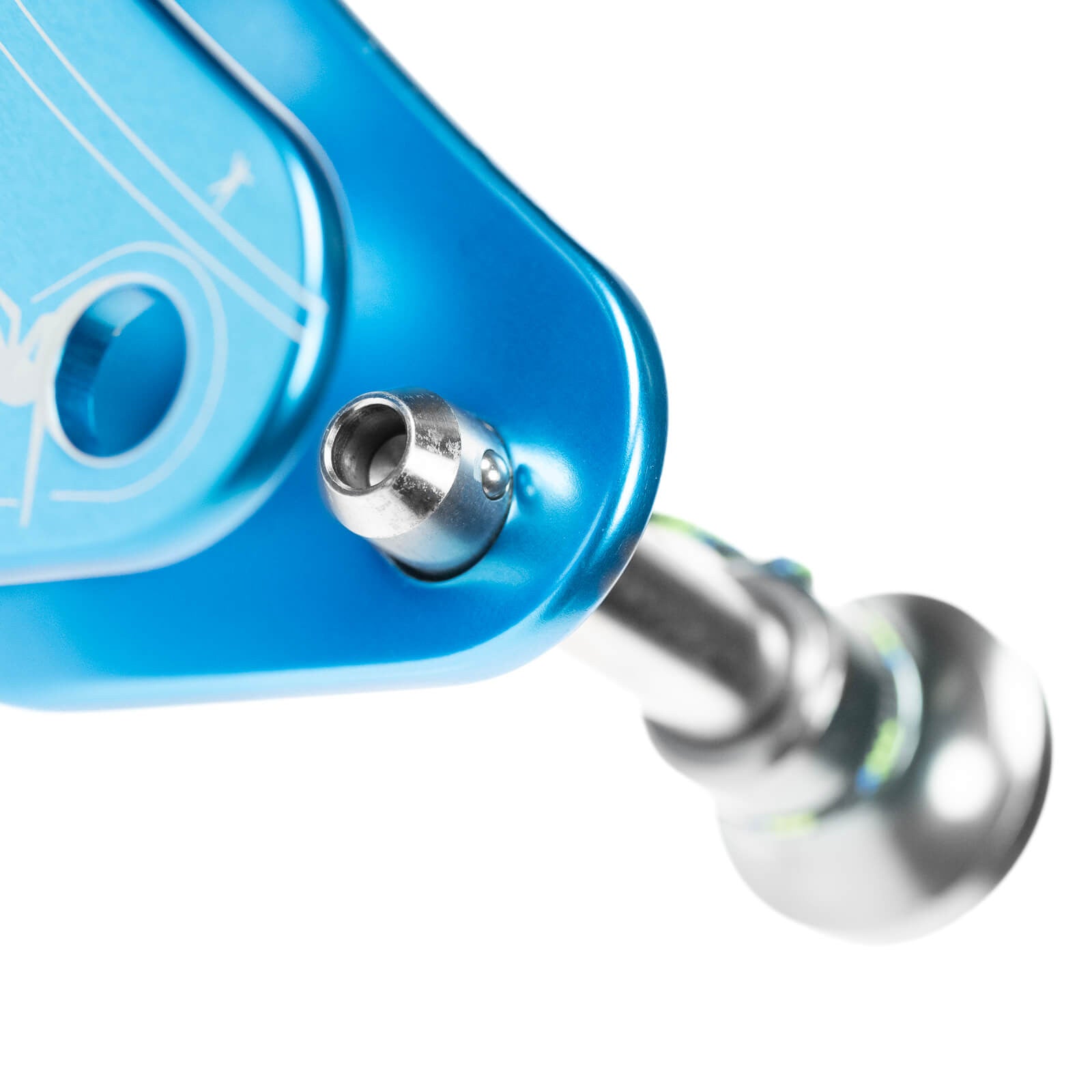 BLUEBERRY SR WEBLOCK