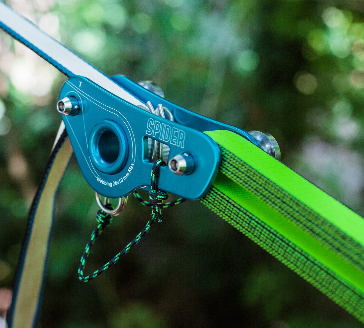 BLUEBERRY SR WEBLOCK