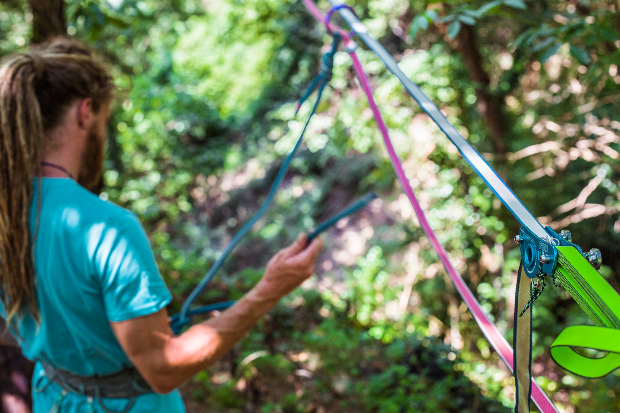 BLUEBERRY SR WEBLOCK