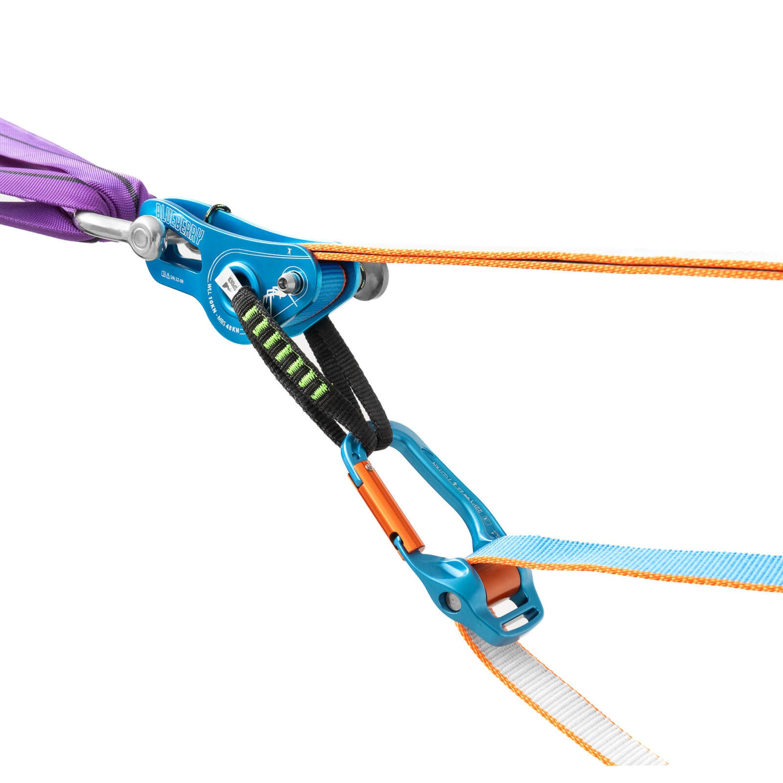 BLUEBERRY SR WEBLOCK