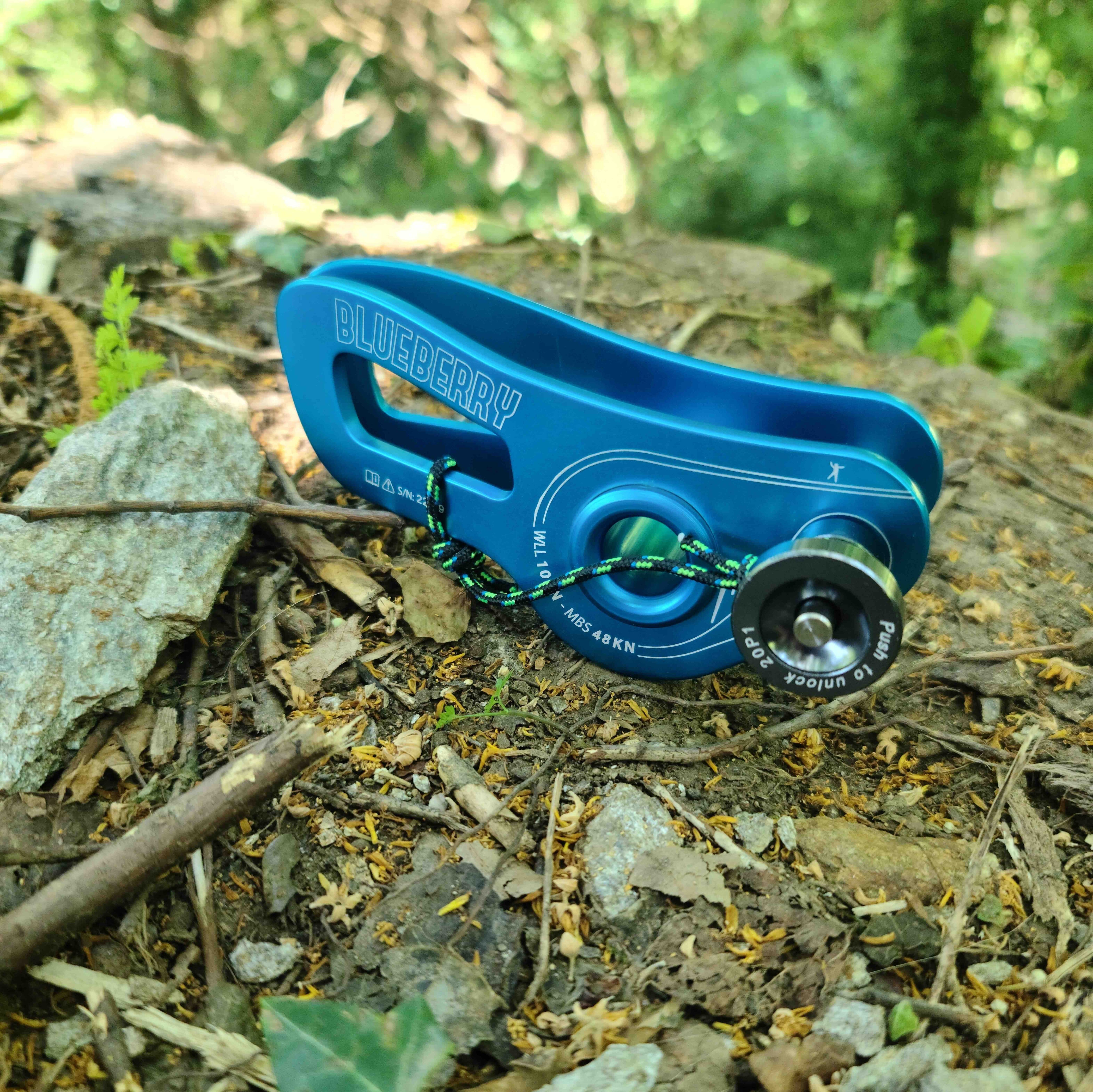 BLUEBERRY WEBLOCK